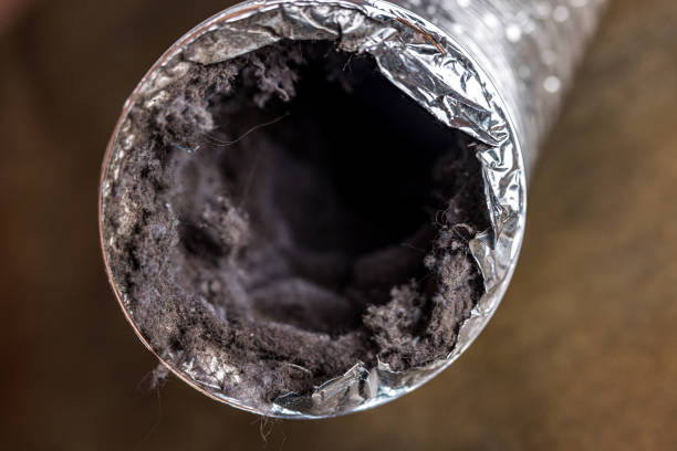 Best Local Air Duct Cleaning Services  in Revere, MA